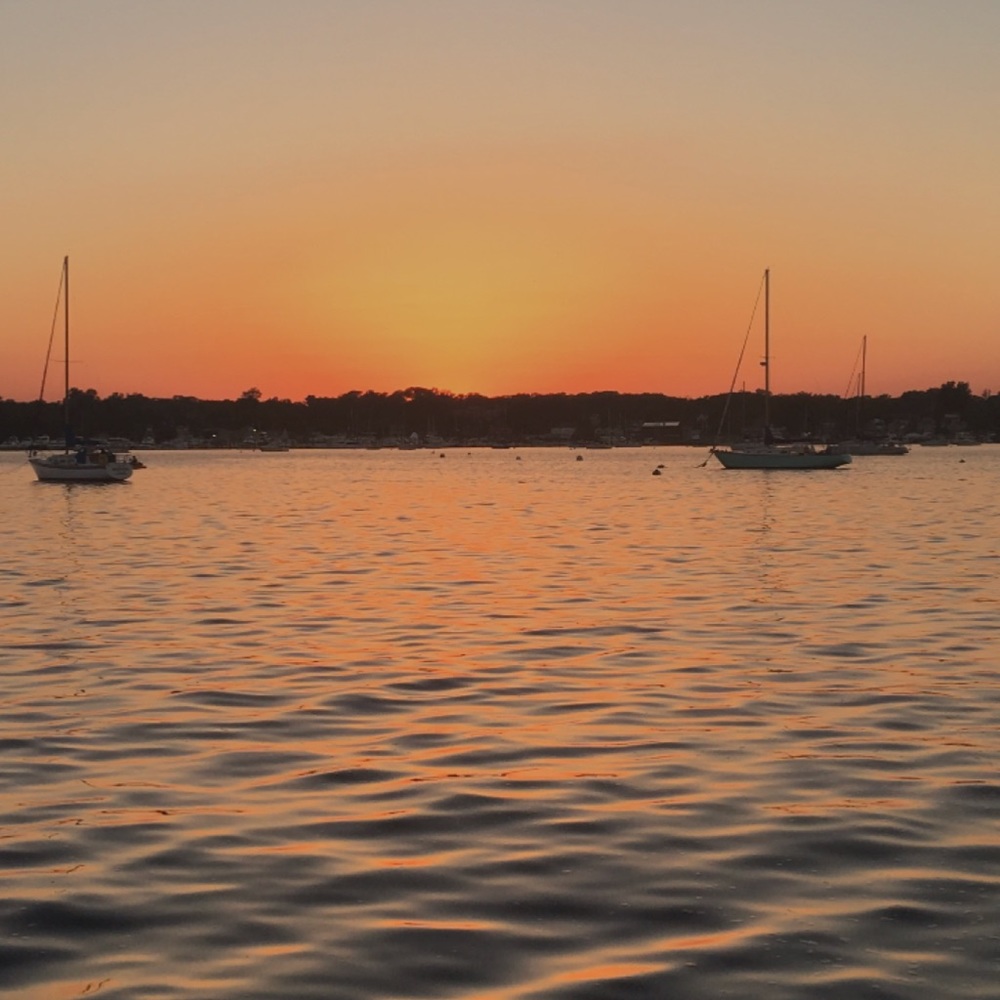 Meet your Posher, Zarisa